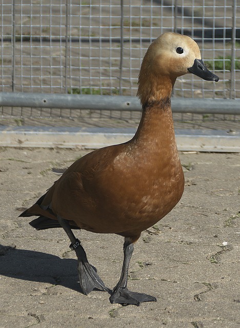 在这里