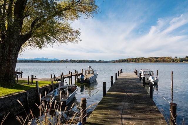 供了反思的 供了反思的