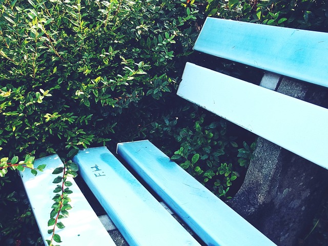 队中得分最 队中得分最