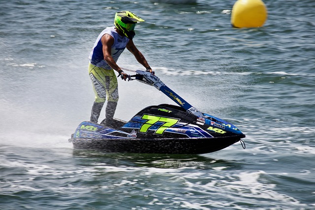 马的新角色 马的新角色